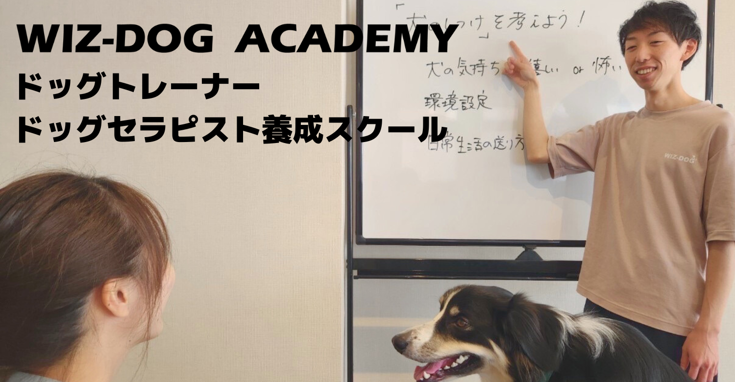 ドッグトレーナー・ドッグセラピスト養成スクール「WIZ-DOG ACADEMYウィズドッグアカデミー）」